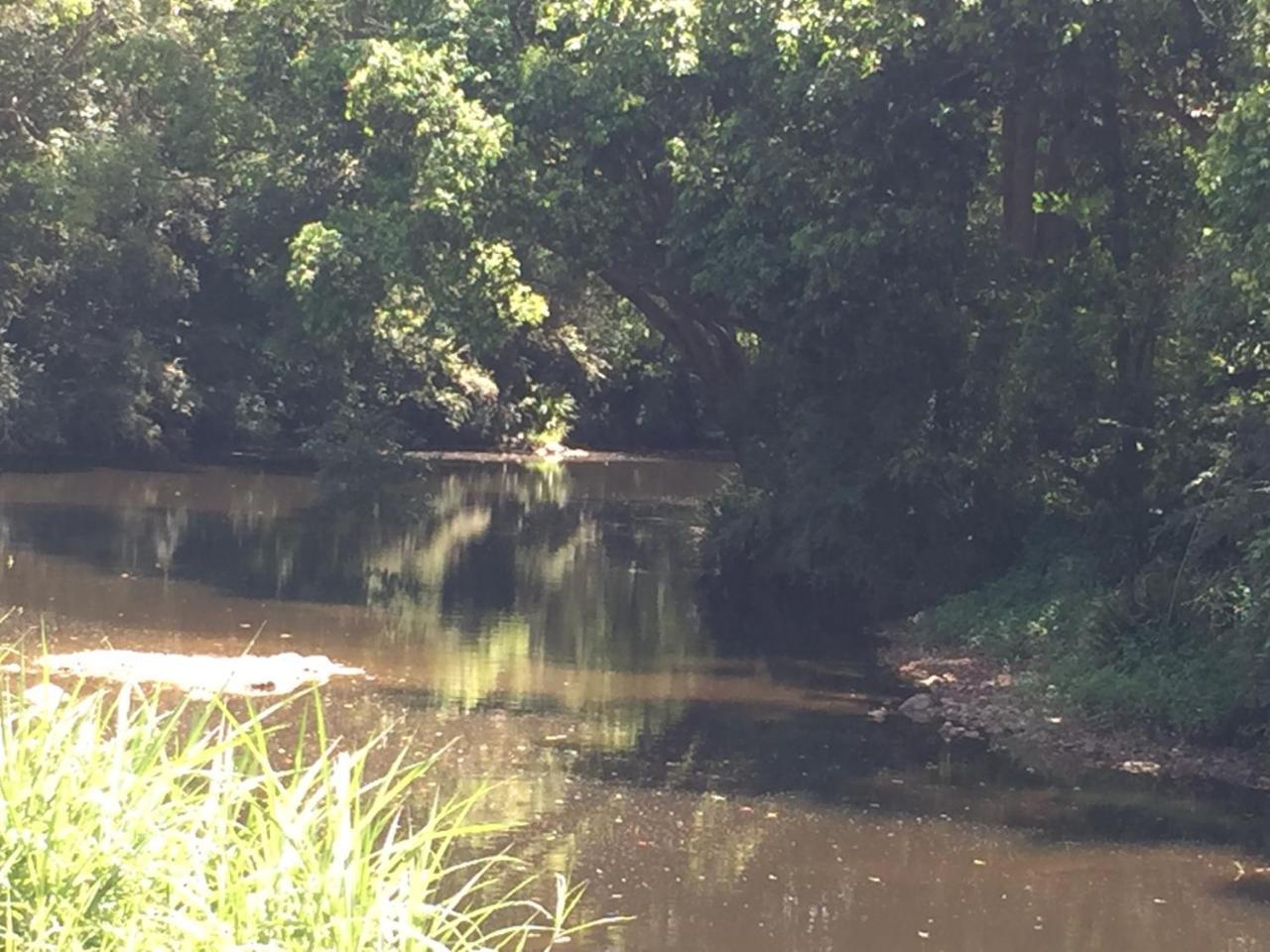 Yandina Caravan Park Kültér fotó